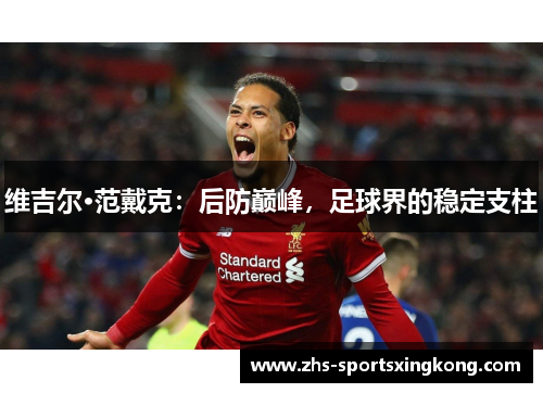 维吉尔·范戴克：后防巅峰，足球界的稳定支柱
